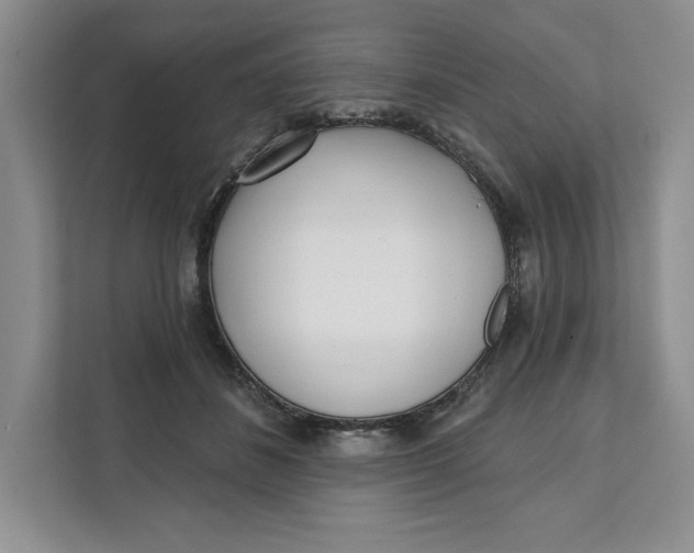 X0000111620508200908071353