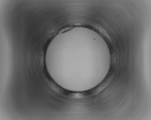 X0000111620509200908071353