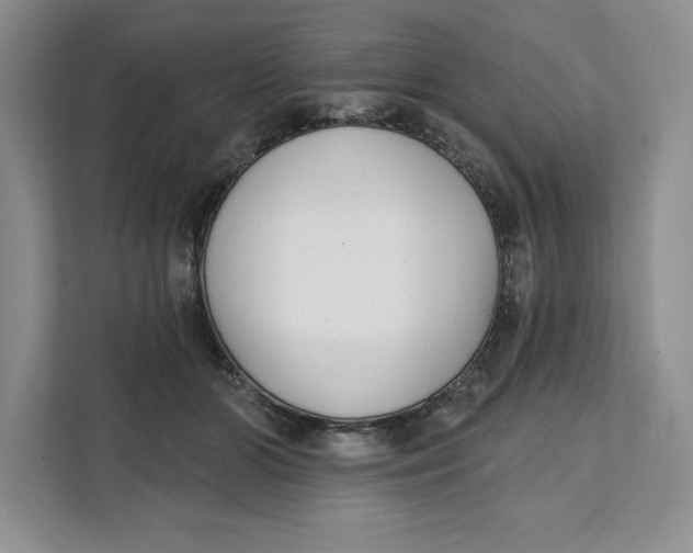 X0000111620510200908071353