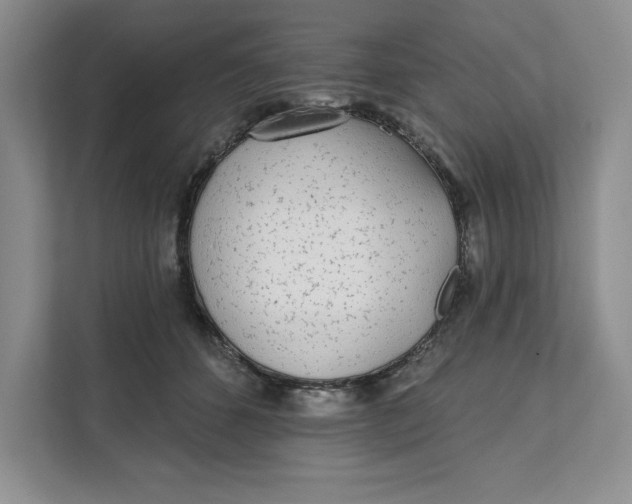 X0000111620512200908071353