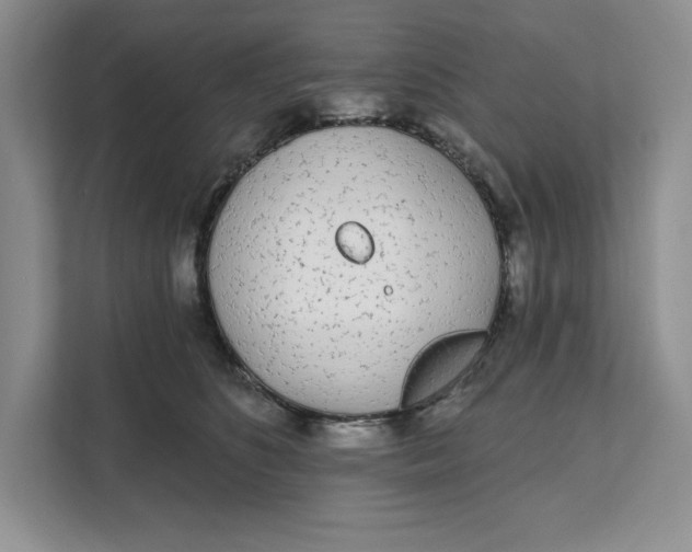 X0000111620516200908071353