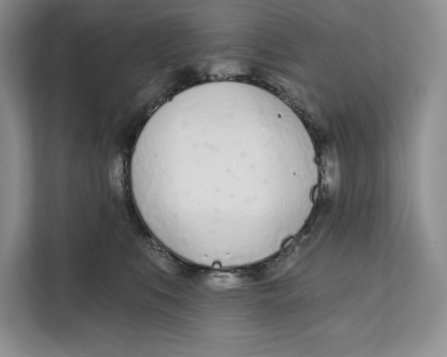 X0000111620519200908071353