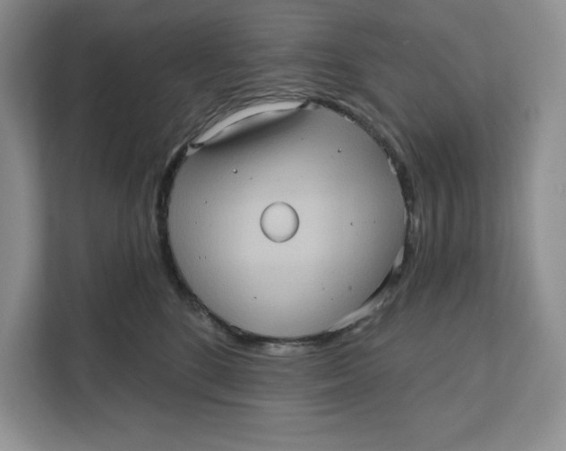 X0000111620520200908071353