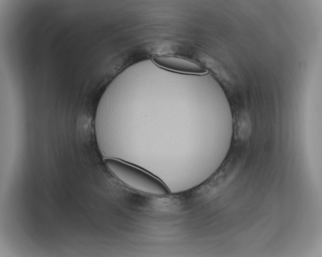 X0000111620521200908071353