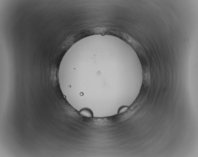 X0000111620525200908071353