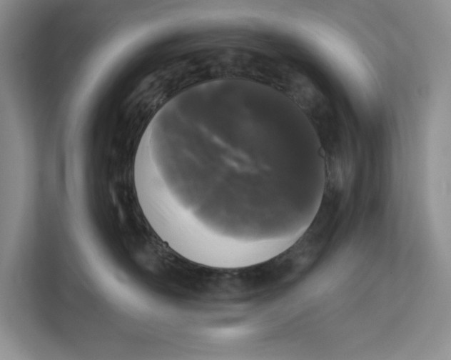 X0000111620526200908071353