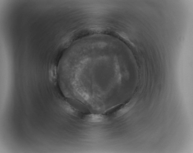 X0000111620528200908071353