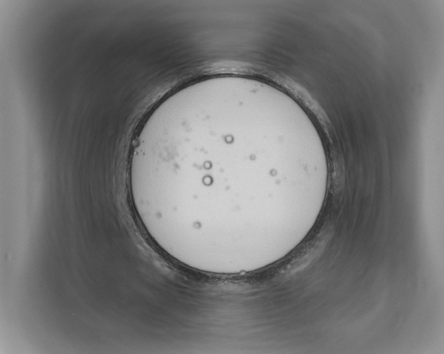 X0000111620529200908071352