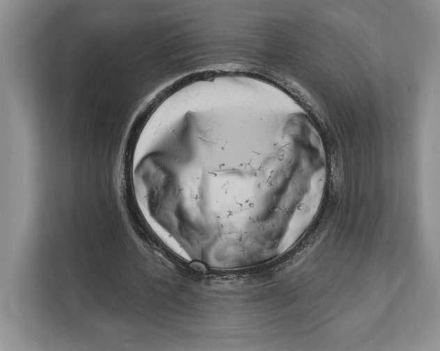 X0000111620532200908071352