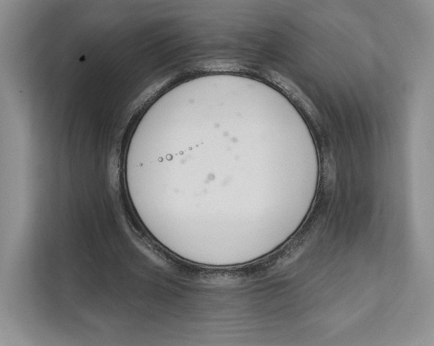 X0000111620533200908071352