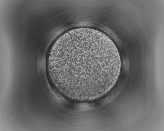 X0000111620534200908071352