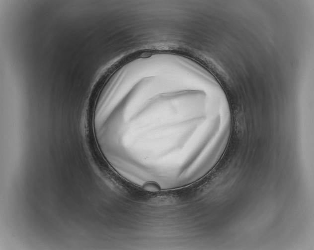 X0000111620536200908071352