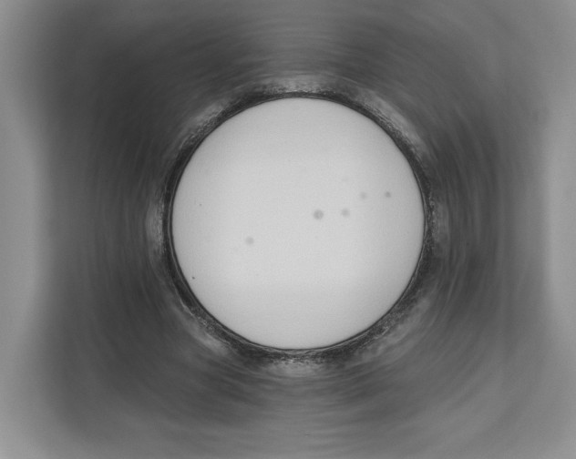 X0000111620537200908071352