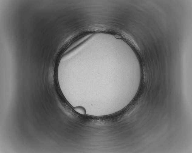 X0000111620538200908071353