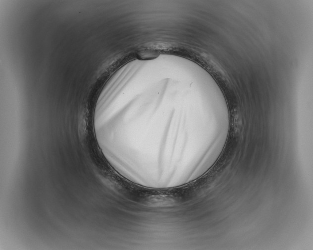 X0000111620544200908071353