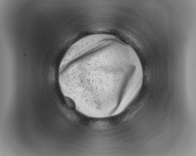 X0000111620546200908071353