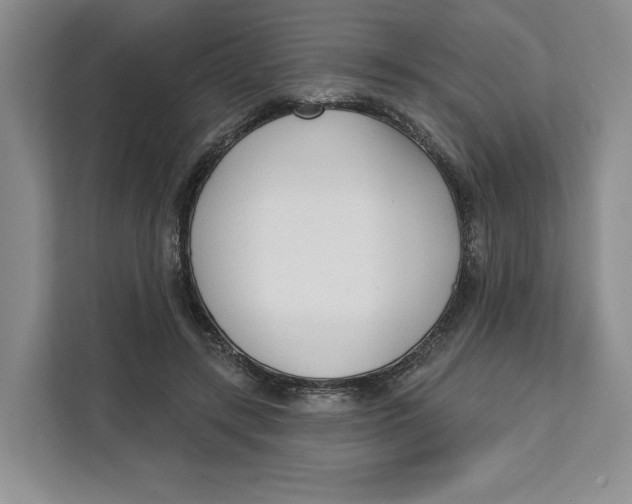 X0000111620547200908071353