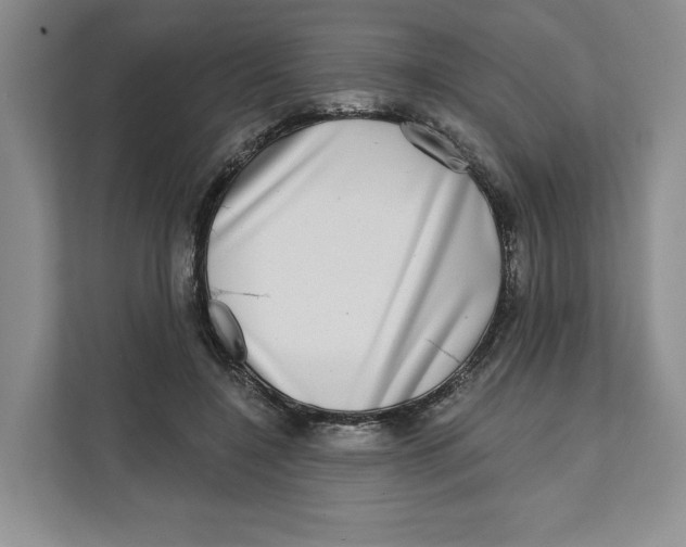 X0000111620548200908071353