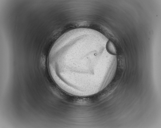 X0000111620550200908071353