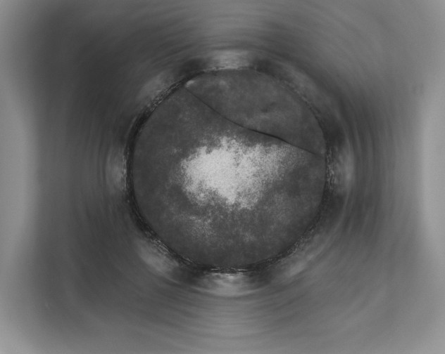 X0000111620552200908071353