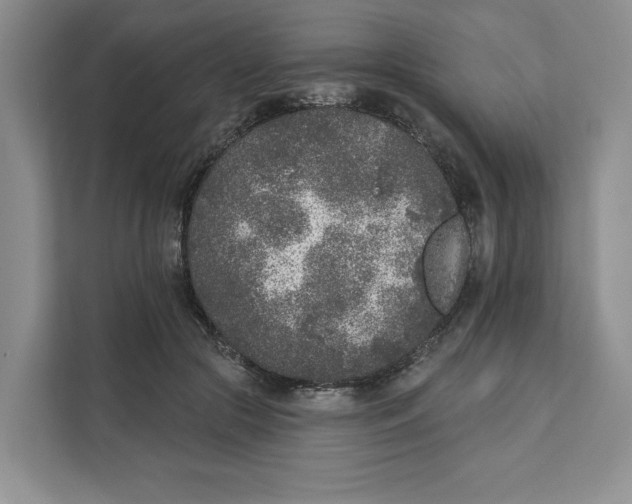 X0000111620553200908071353