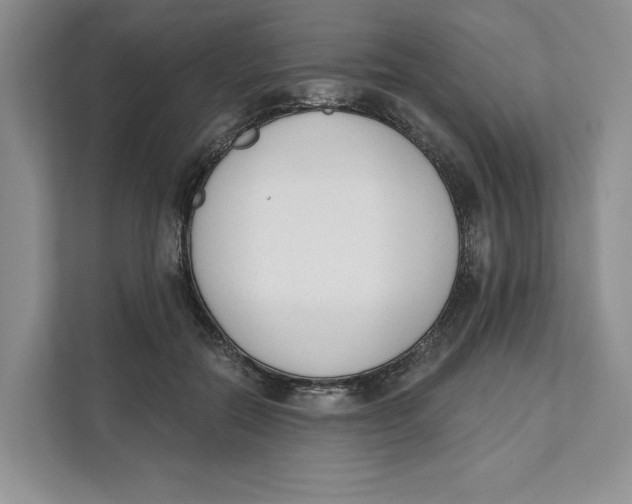 X0000111620554200908071353