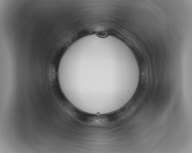 X0000111620555200908071353