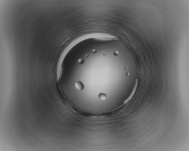 X0000111620556200908071353