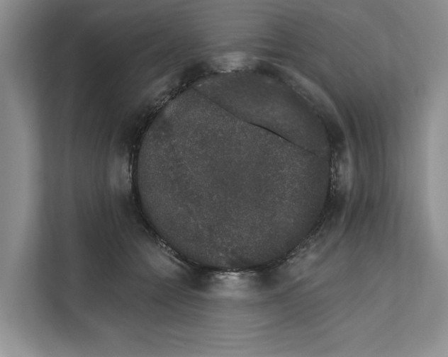 X0000111620558200908071353