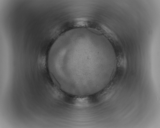 X0000111620560200908071353