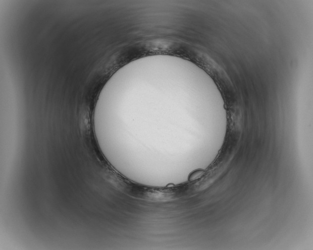 X0000111620561200908071353