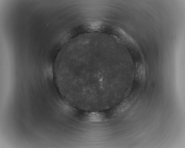 X0000111620562200908071353