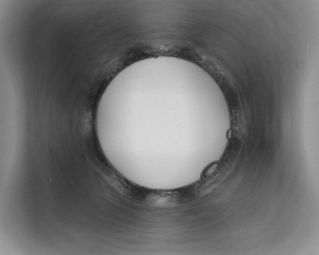 X0000111620563200908071353