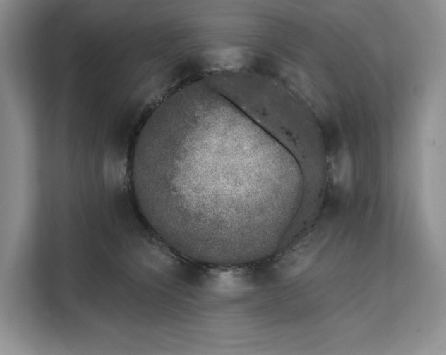 X0000111620564200908071353