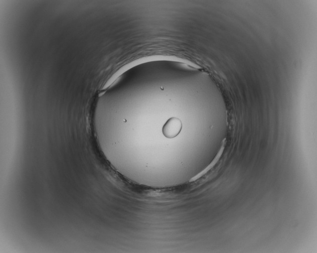 X0000111620568200908071353