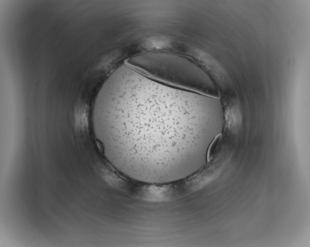 X0000111620570200908071353