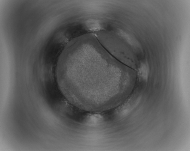 X0000111620572200908071353