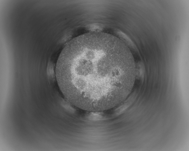 X0000111620573200908071353