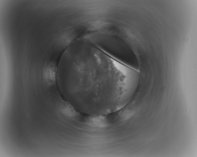 X0000111620576200908071353