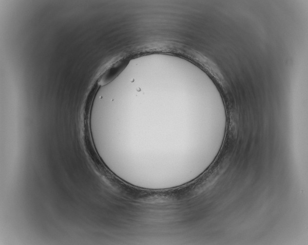 X0000111620578200908071352