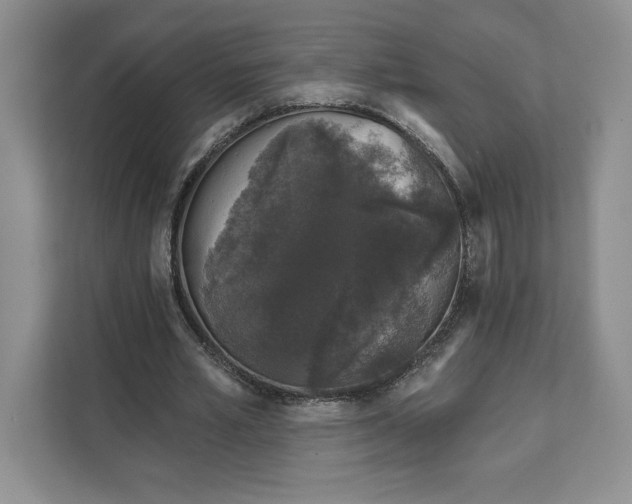 X0000111620581200908071352