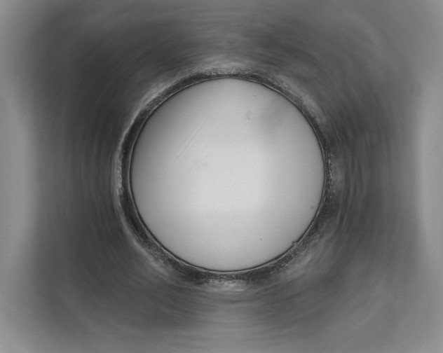 X0000111620582200908071352