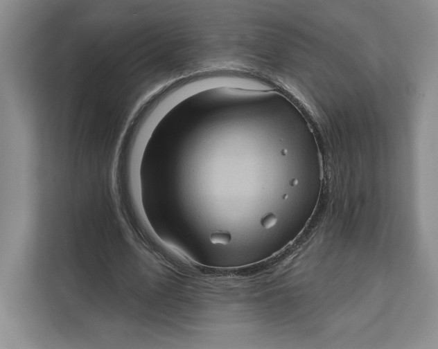 X0000111620583200908071352