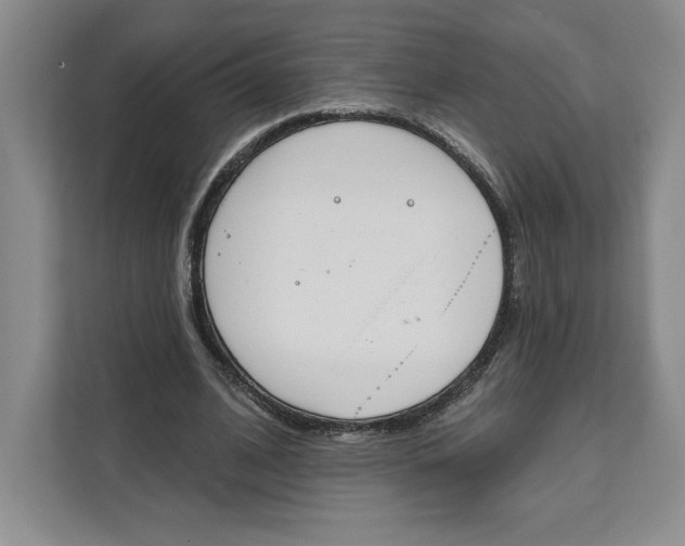 X0000111620584200908071352