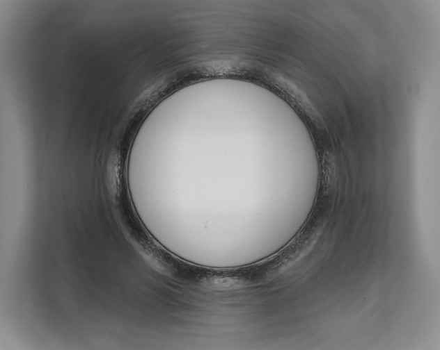 X0000111620590200908071352