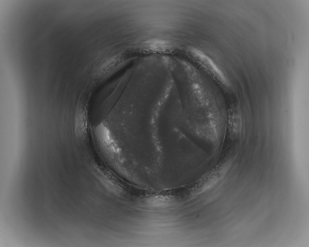 X0000111620593200908071352