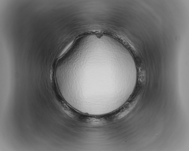 X0000111620597200908071352