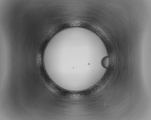 X0000111620598200908071352