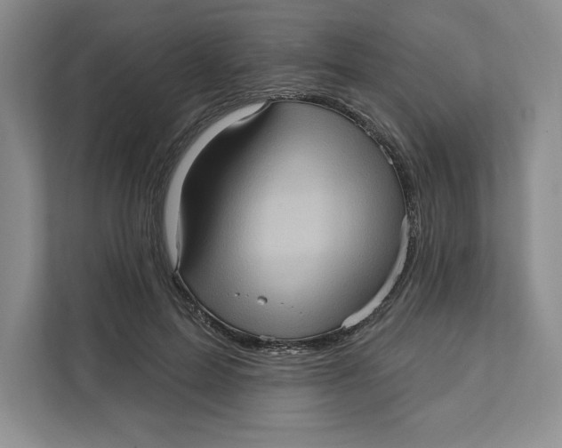 X0000111620599200908071352