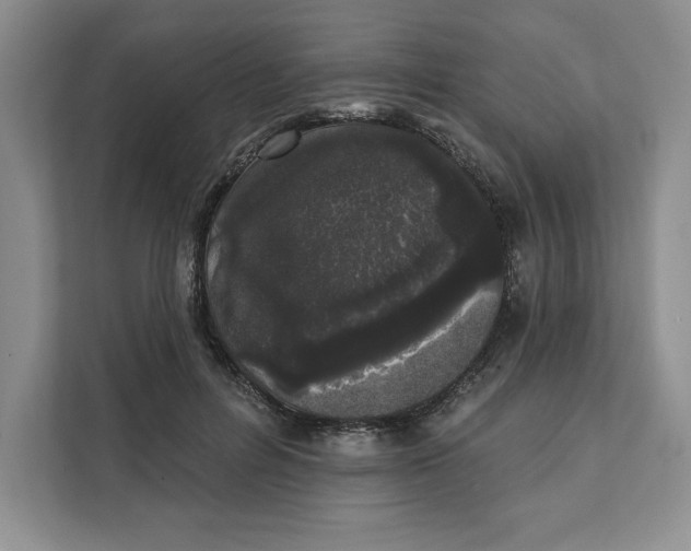 X0000111620600200908071352